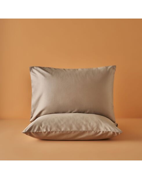 Set di 2 federe standard in raso di visone 100% cotone