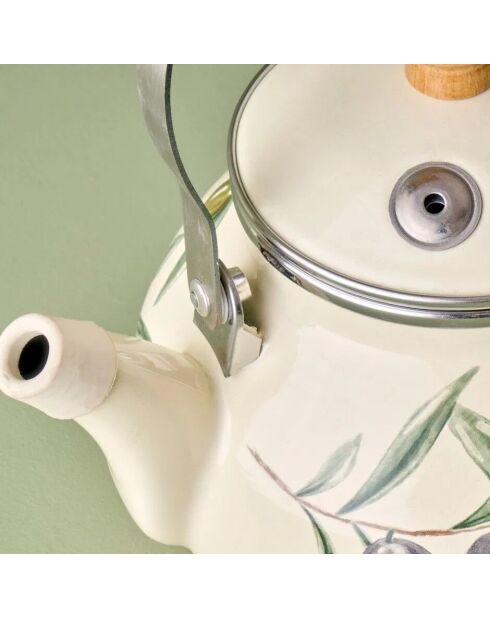 Théière en émail olive multicolore - 2 L
