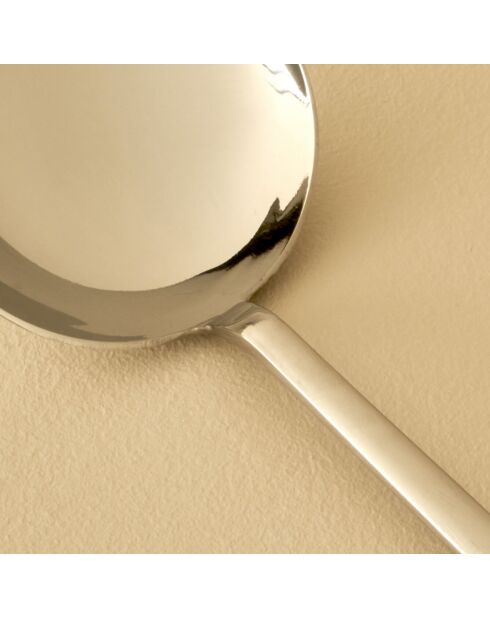 Lot de 5 couverts de service Siena argenté