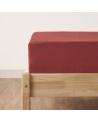 Lenzuolo con angoli elasticizzati Supreme basic in 100% cotone satinato bordeaux - 160x200x35 cm