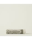 Colin grünes Gesichtstuch - 50x90 cm