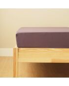 Lenzuolo elasticizzato basic king size antracite - 180x200x35 cm