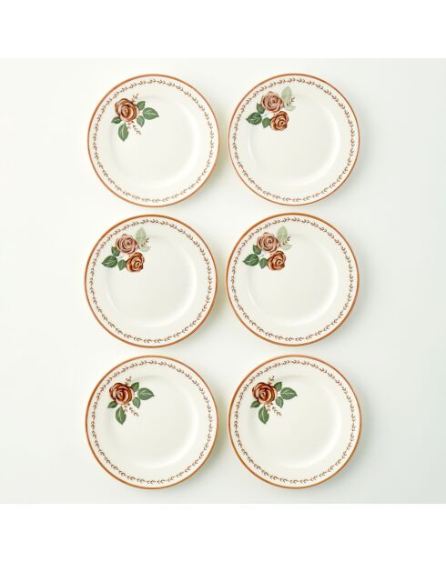 Lot de 6 assiettes à gâteaux multicolores - 21 cm