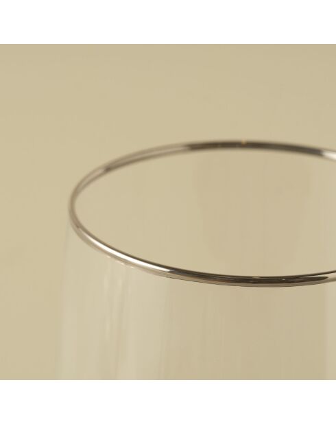 Coppa in argento di alta gamma - 270 cc