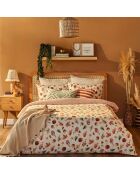 Copripiumino 100% cotone terracotta - 260x240 cm