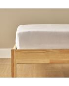 Lenzuolo con angoli elasticizzati King white 100% cotone basico - 180x200x35 cm