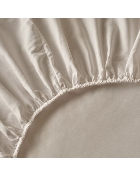 Lenzuolo con angoli elasticizzati King white 100% cotone basico - 180x200x35 cm