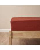 Lenzuolo matrimoniale Arno in raso di terracotta 100% cotone - 160x200x35 cm