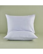 Federe standard blu chiaro - 50x70 cm