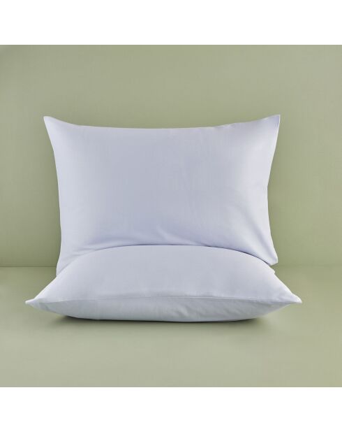 Federe standard blu chiaro - 50x70 cm