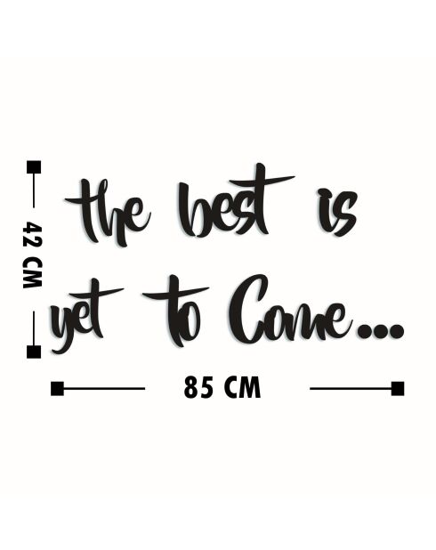 Decoratief zwart houten wandaccessoire - 28 x 16 cm