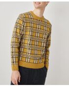 Jersey de jacquard 100% lana romana y citronela