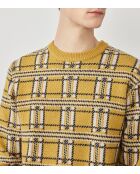 Jersey de jacquard 100% lana romana y citronela