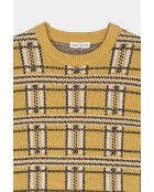 Jersey de jacquard 100% lana romana y citronela