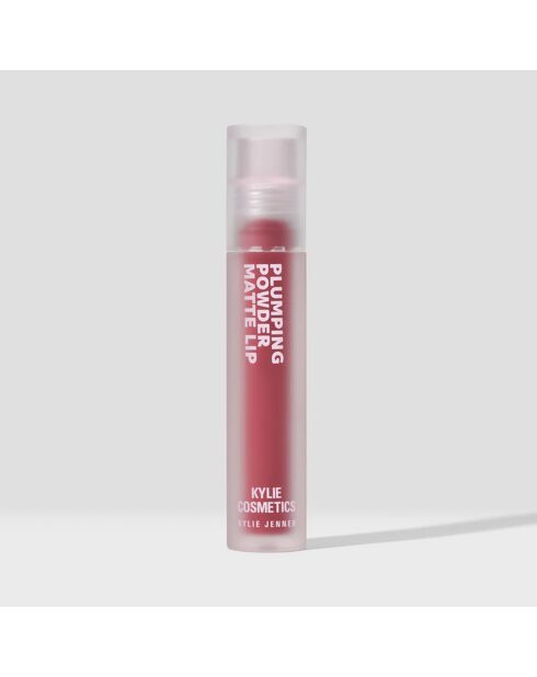 Duo Repulpant Risky Pink - Poudre repulpante lèvres matte & Crayon à Lèvres 2