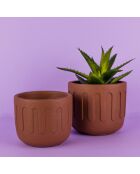 Blumentopf aus Terrakotta