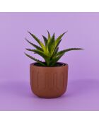 Blumentopf aus Terrakotta