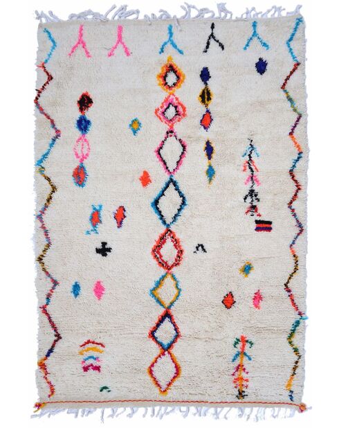Tapis collection intemporel multicolore - 205x145cm