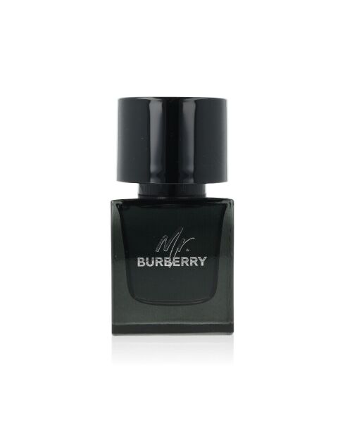 Burberry Mr Burberry Spray herenparfum - 50 ml