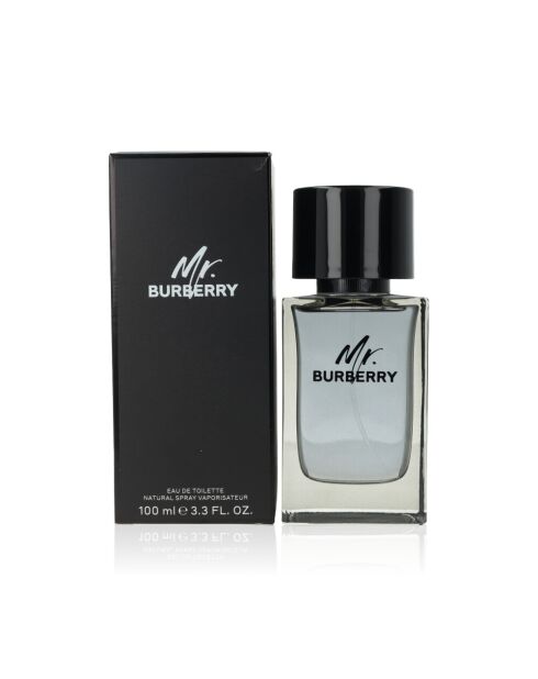 Eau de toilette homme Mr Burberry Spray - 100ml