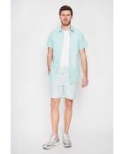Shorts Godefroi in misto lino verdi
