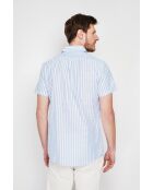 Baumwollhemd Gontran Sky