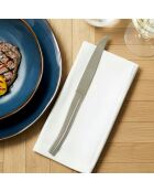 6 Couteaux à steak Aladin