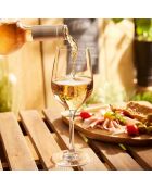 Set mit 12 Stielgläsern Sens Vin & Champagne — 35 cl