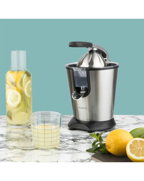 AGR80 elektrische Saftpresse aus Stahl/Schwarz - 160W