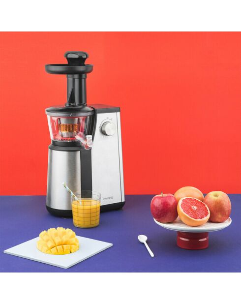 Geräuschloser Saftpresse GSX12 Edelstahl/schwarz/transparent - 400W