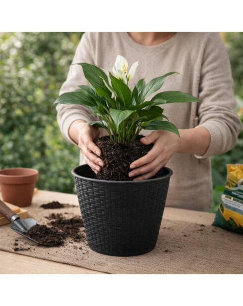 Juego de 2 fundas de plástico para macetas, jardín y plástico, efecto ratán, regaliz, diámetro 30 cm