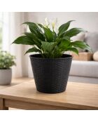 Juego de 2 fundas de plástico para macetas, jardín y plástico, efecto ratán, regaliz, diámetro 30 cm