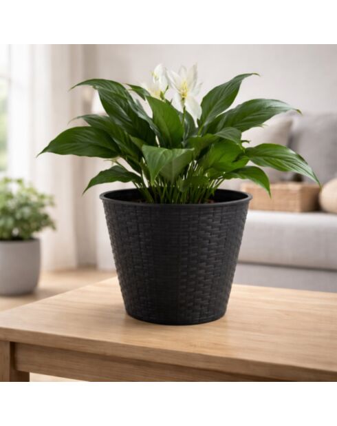 Juego de 2 fundas de plástico para macetas, jardín y plástico, efecto ratán, regaliz, diámetro 30 cm