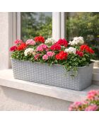 Set van 2 plastic plantenbakken Garden & plastic titanium rotaneffect - 50x19x14,5 cm
