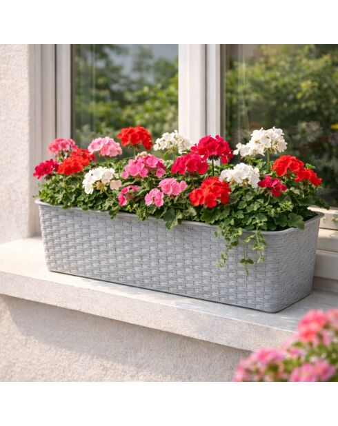 Set van 2 plastic plantenbakken Garden & plastic titanium rotaneffect - 50x19x14,5 cm