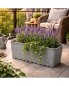 Set van 2 plastic plantenbakken Garden & plastic titanium rotaneffect - 50x19x14,5 cm