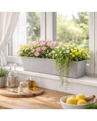 Set van 2 plastic plantenbakken Garden & plastic titanium rotaneffect - 50x19x14,5 cm