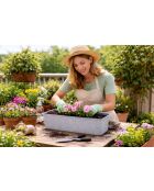 Set van 2 plastic plantenbakken Garden & plastic titanium rotaneffect - 50x19x14,5 cm