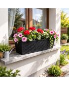Set di 2 fioriere in plastica Garden & plastic effetto rattan alla liquirizia - 50x19x14,5 cm