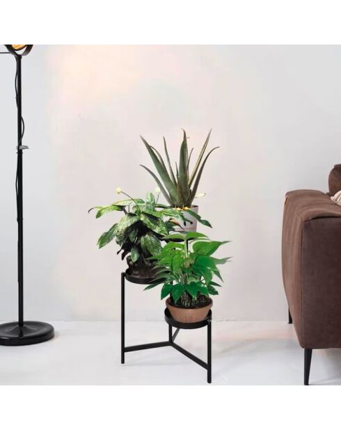 Soporte para plantas con forma de abanico metálico para jardín y metal negro, 54 x 27 x 76 cm