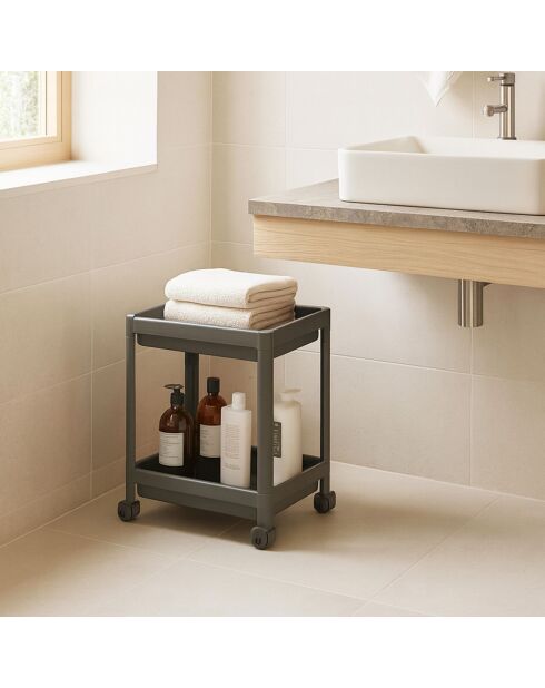 Étagère multifonctionnelle en plastique 242339 grise - 36x23x40 cm