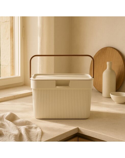 Boîte de rangement 241804 crème - 17x26x21 cm