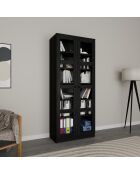 Armoire multifonctionnelle Lucas Glass 1600 92 noire - 80x190x37 cm