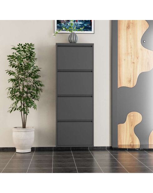 Meuble à chaussures 4 Piece Metal anthracite - 50x136x15 cm
