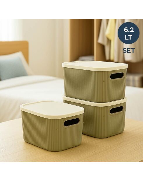 Ensemble de boîtes de rangement (3 pièces) 242355 vert - 18x25x16 cm