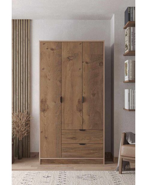 Garde robe Arden 3 pin de l'atlas - 97x182x44cm