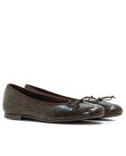 Ballerines 166807 Amazonie marron