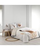 Parure housse de couette Natacha orange