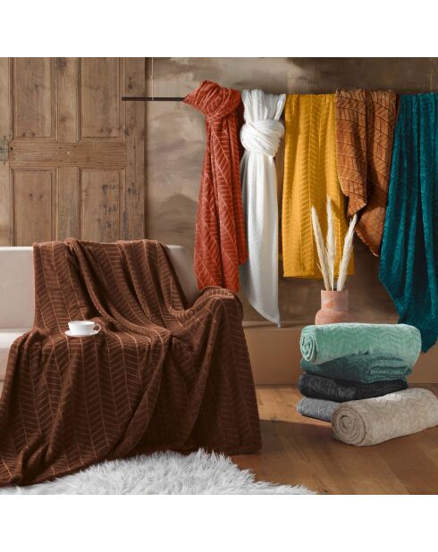 Plaid (180 x 220 cm) Arya Natural, flanella a rilievo