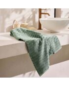 Serviette de toilette en coton, éponge unie Maya sauge - 50x90 cm